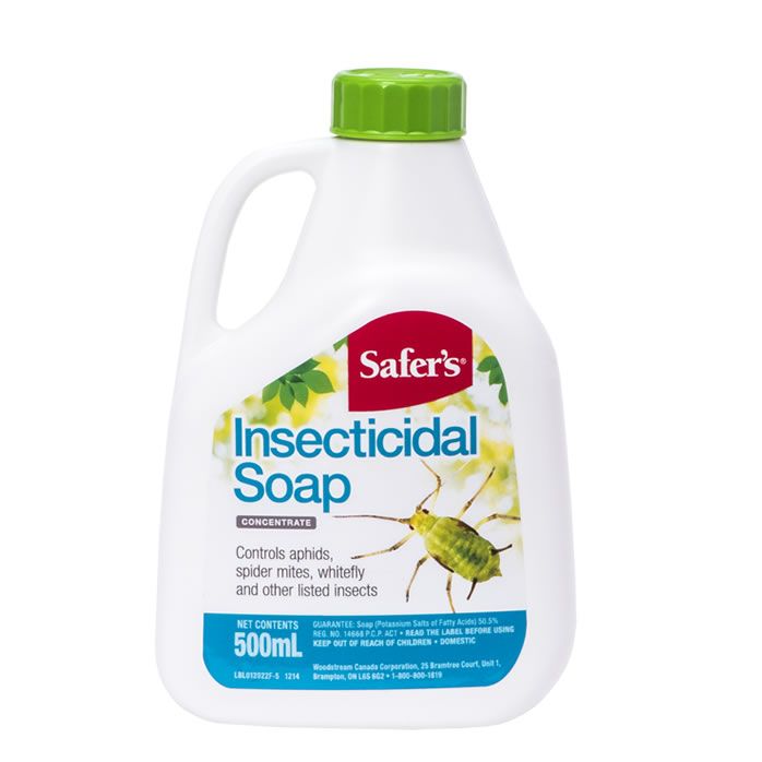 safer brand insecticidal soap Safer's Insecticidal soap 500ml concentrate – Grow It All
